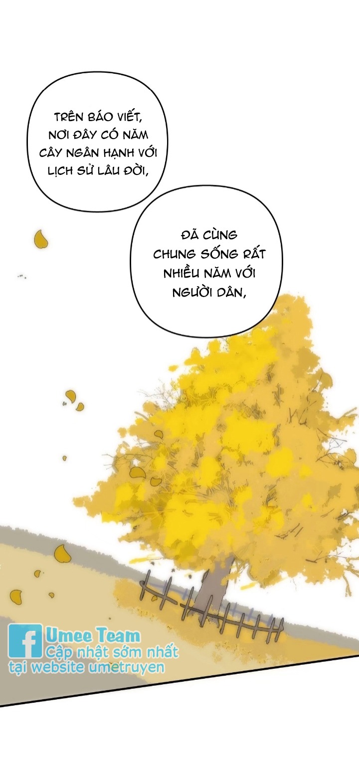 Đêm Đầy Sao Nói Với Em Chapter 23 - Next Chapter 24