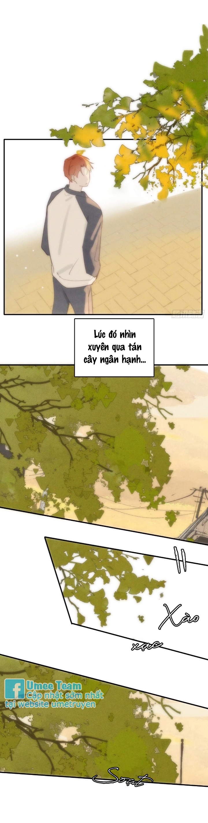 Đêm Đầy Sao Nói Với Em Chapter 23 - Next Chapter 24