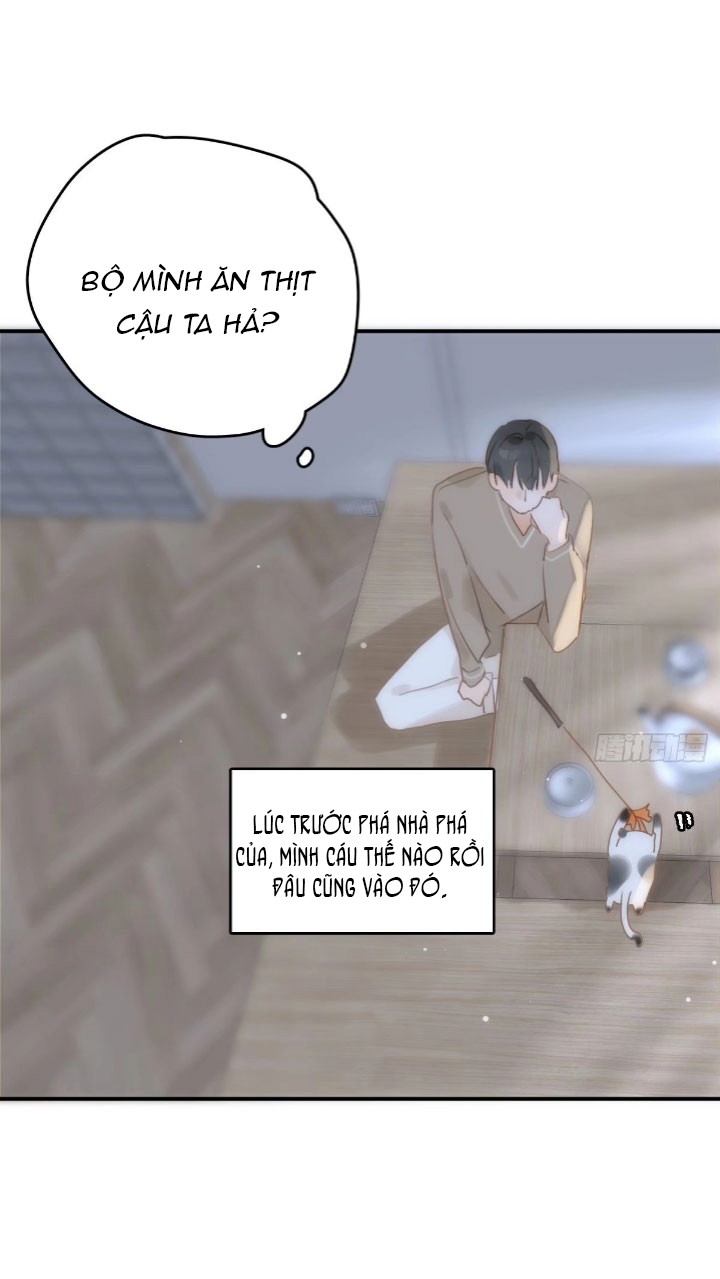 Đêm Đầy Sao Nói Với Em Chapter 31 - Next Chapter 32