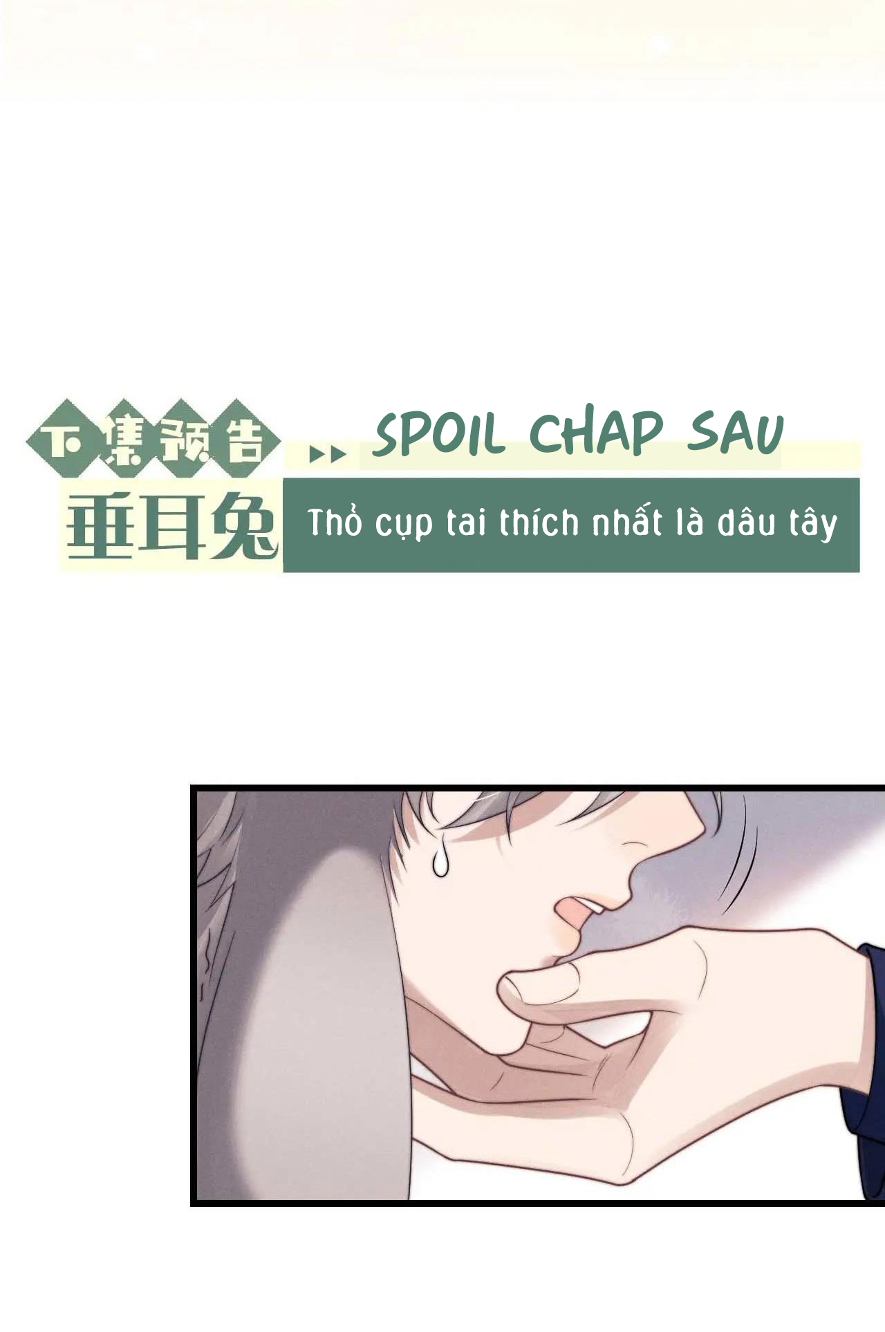 Chấp Sự Thỏ Cụp Tai Chapter 12 - Next 