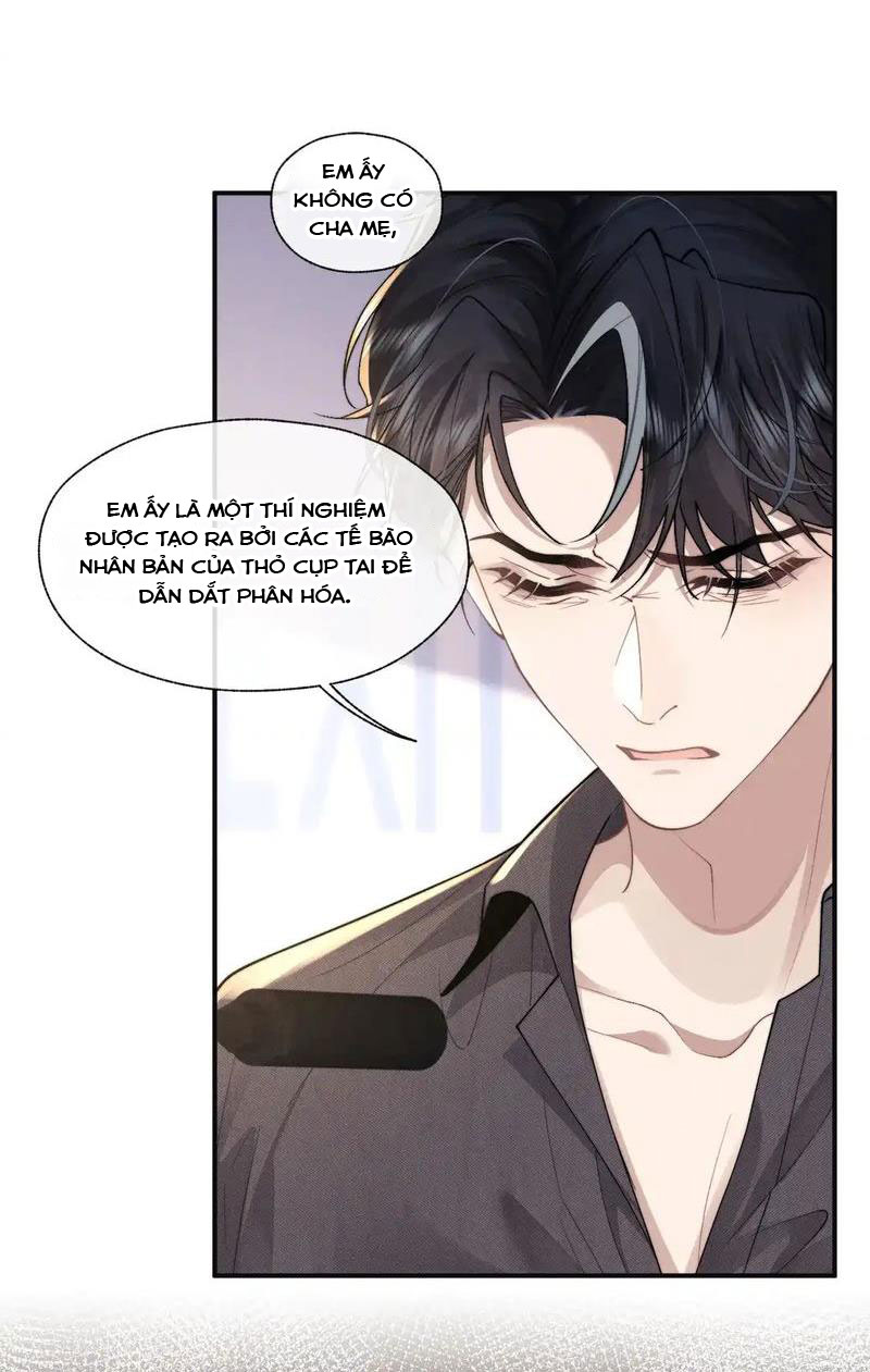 Chấp Sự Thỏ Cụp Tai Chapter 97 - Trang 4