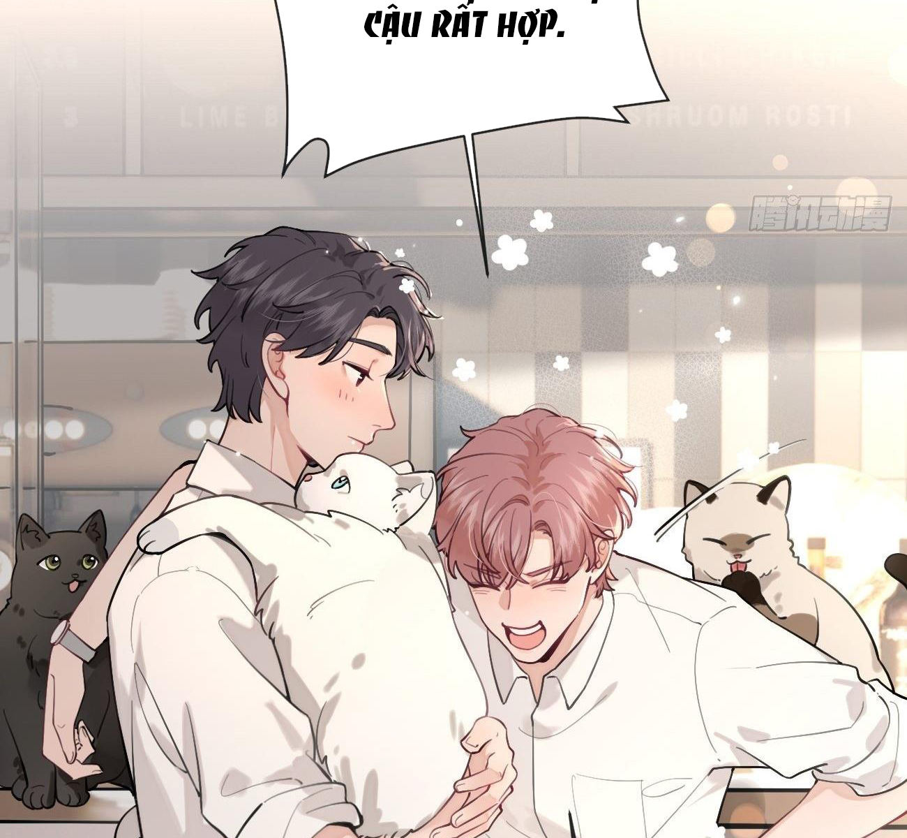 Chó Lớn Ức Hiếp Chủ Chapter 6 - Next Chapter 7