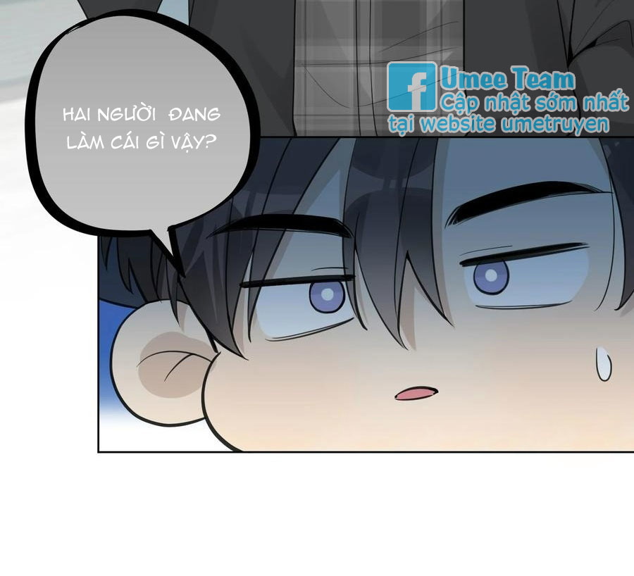 Phát Tài Nào! Hỡi Quý Ngài Ác Long Chapter 37 - Next Chapter 38