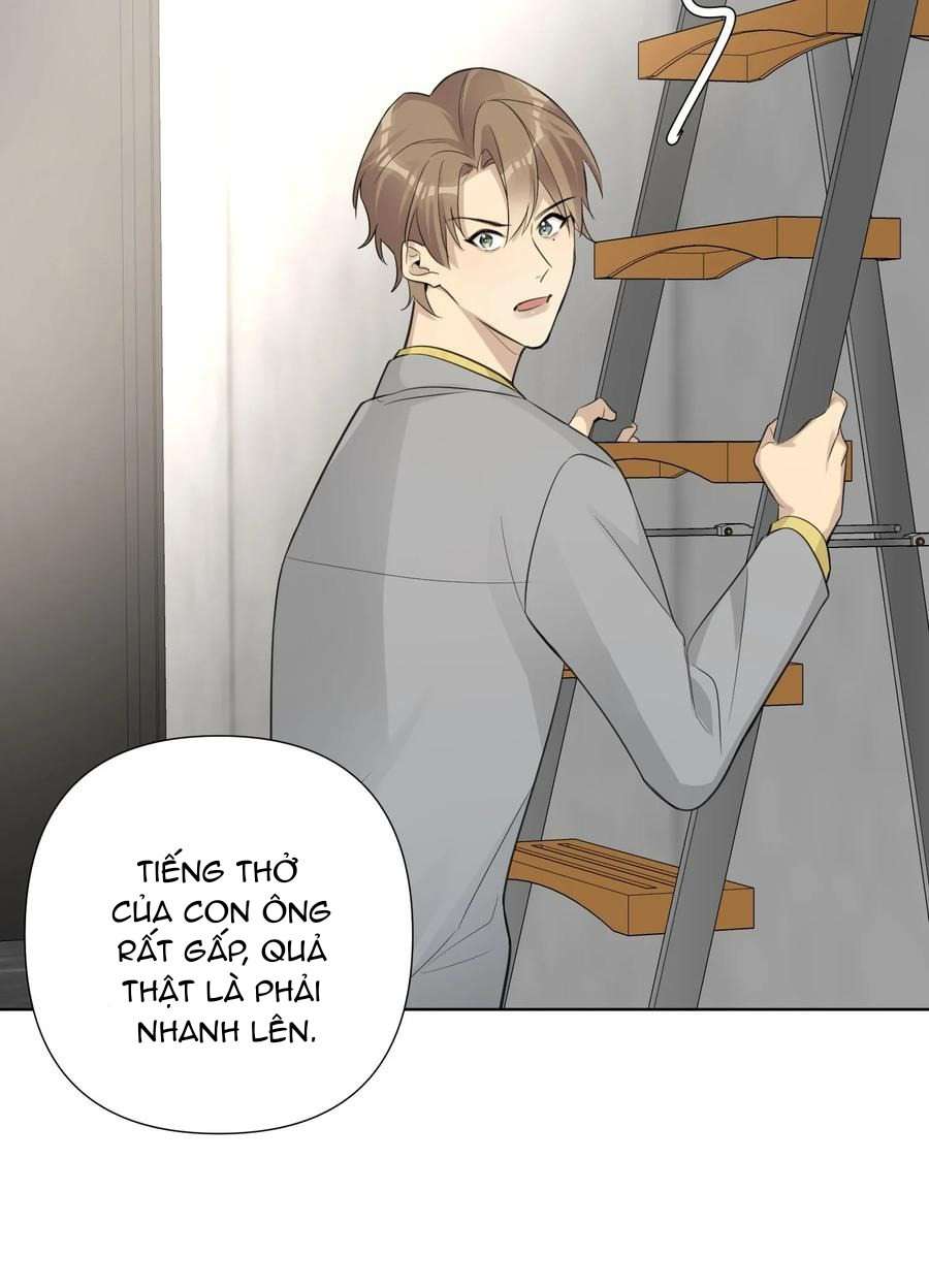 Phát Tài Nào! Hỡi Quý Ngài Ác Long Chapter 38 - Next Chapter 39