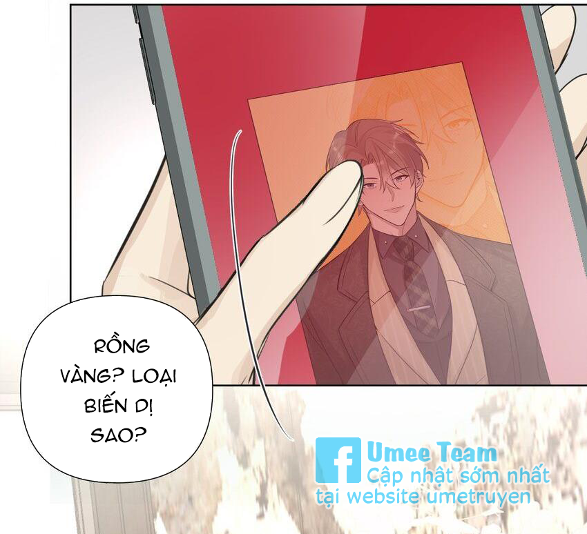 Phát Tài Nào! Hỡi Quý Ngài Ác Long Chapter 44 - Next Chapter 45