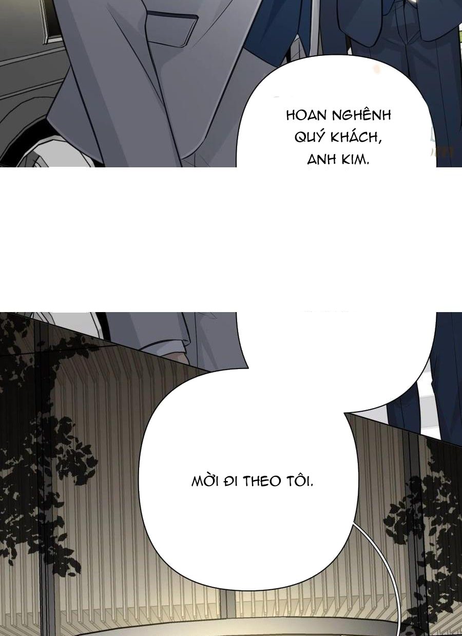 Phát Tài Nào! Hỡi Quý Ngài Ác Long Chapter 54 - Next Chapter 55