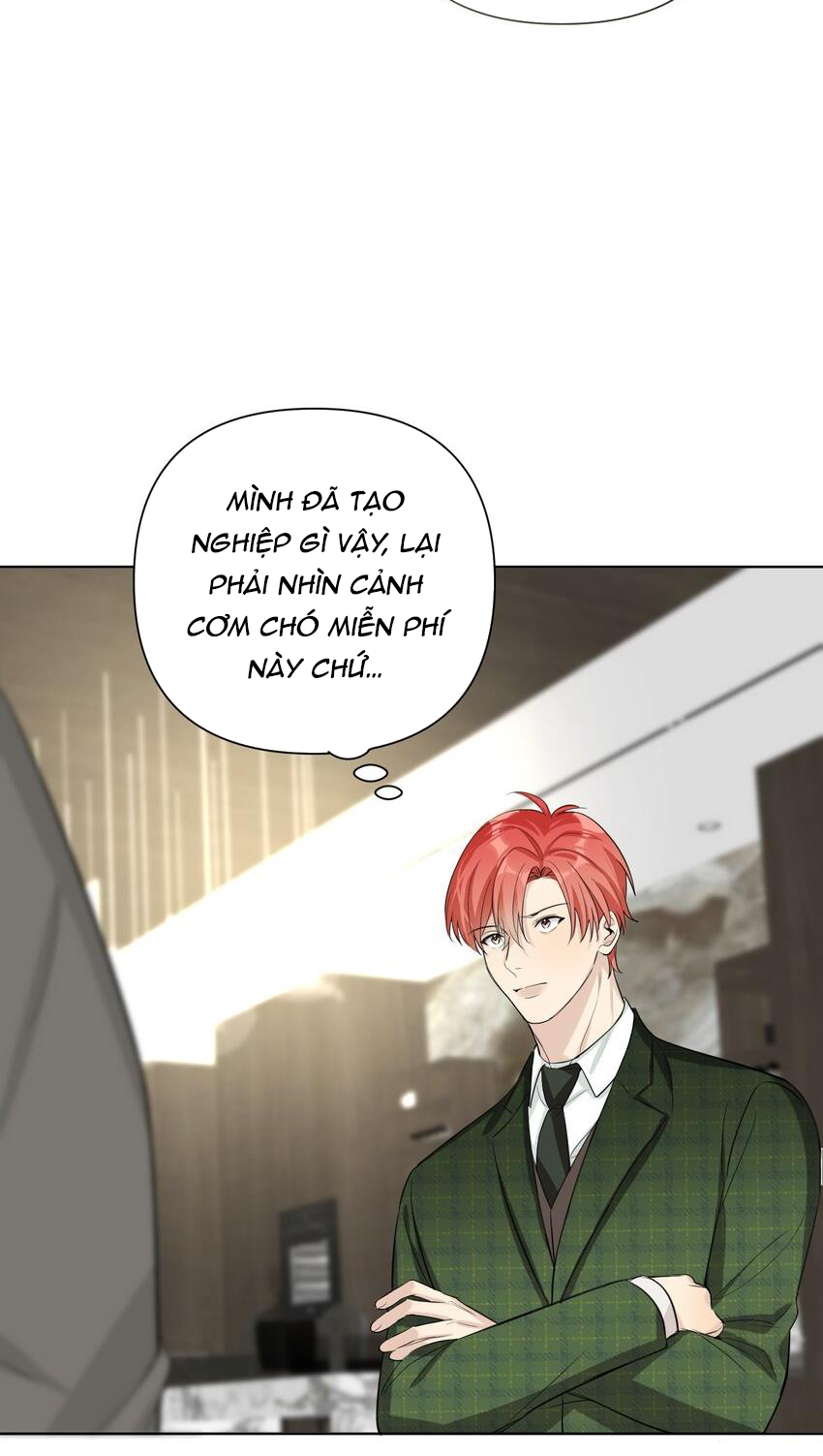 Phát Tài Nào! Hỡi Quý Ngài Ác Long Chapter 87 - Next 