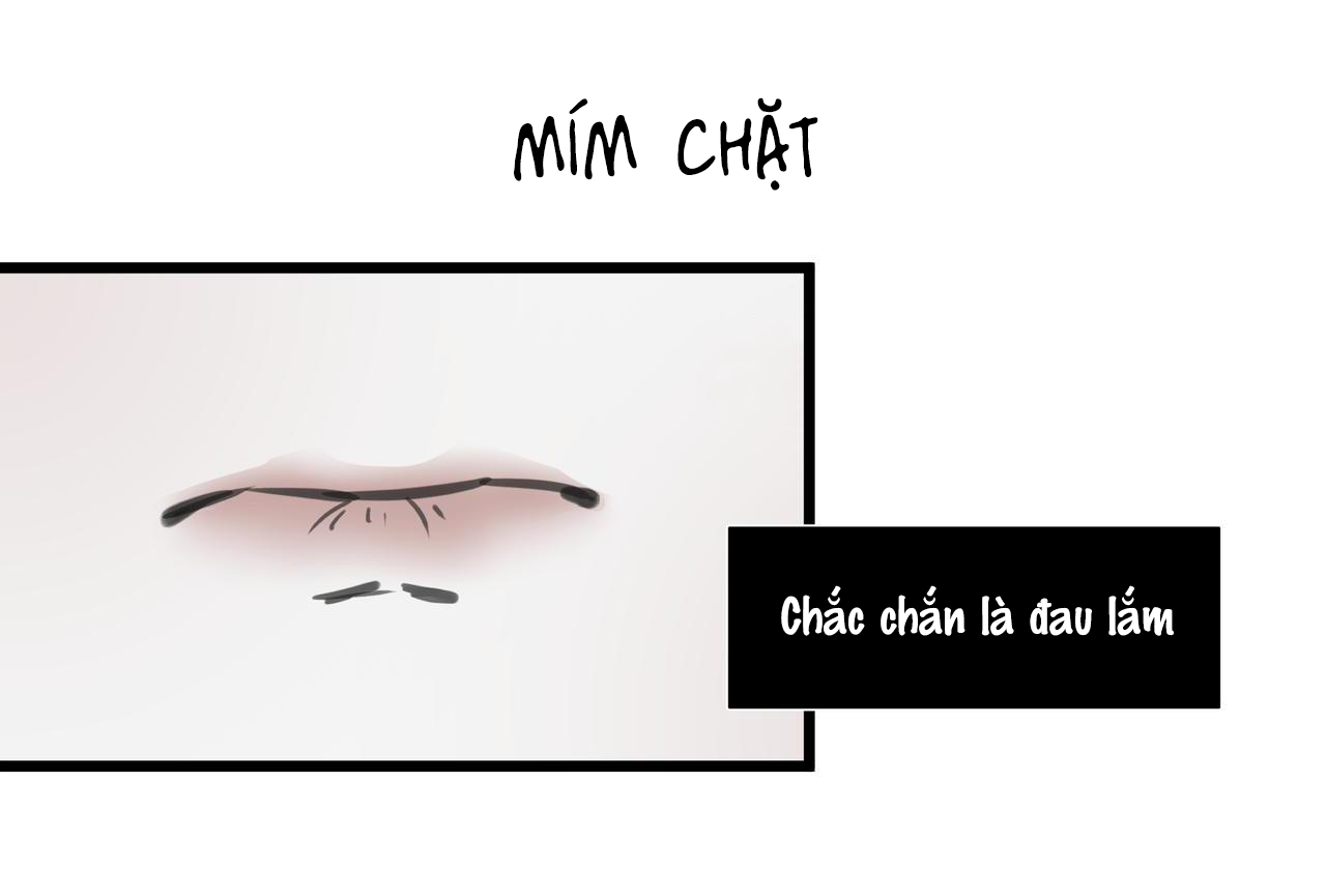 Xương đuôi của cá vàng ảm đạm Chapter 10 - Mọi thứ đều được định sẵn - Next Chapter 11 - Giành lại mọi thứ thuộc về tôi