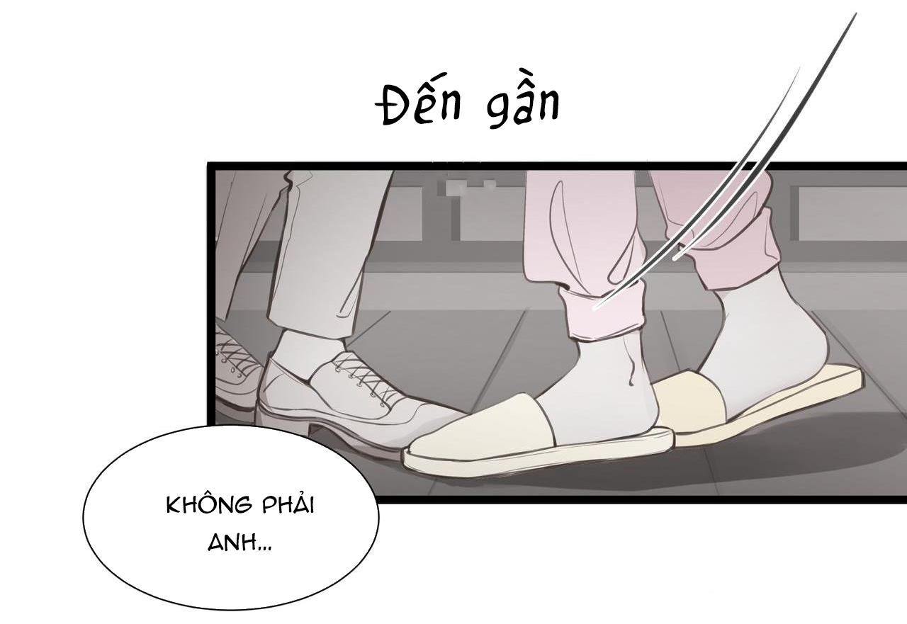 Xương đuôi của cá vàng ảm đạm Chapter 10 - Mọi thứ đều được định sẵn - Next Chapter 11 - Giành lại mọi thứ thuộc về tôi