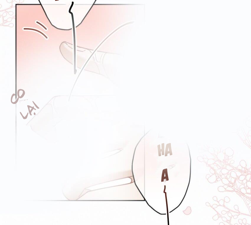 huynh-day-de-vo-le-chap-11-10