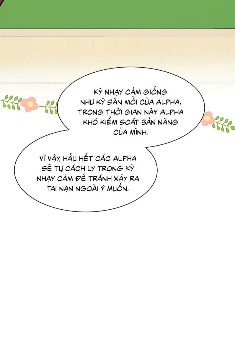 toi-thich-tin-tuc-to-cua-cau-chap-81-39