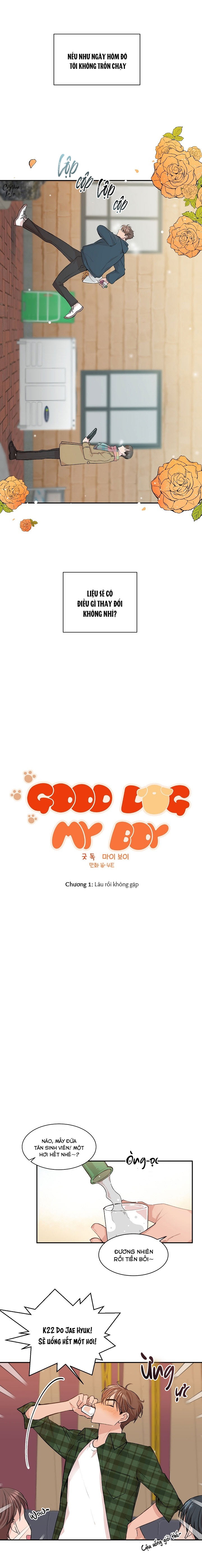 Good dog my boy Chapter 1 - Next Chapter 2