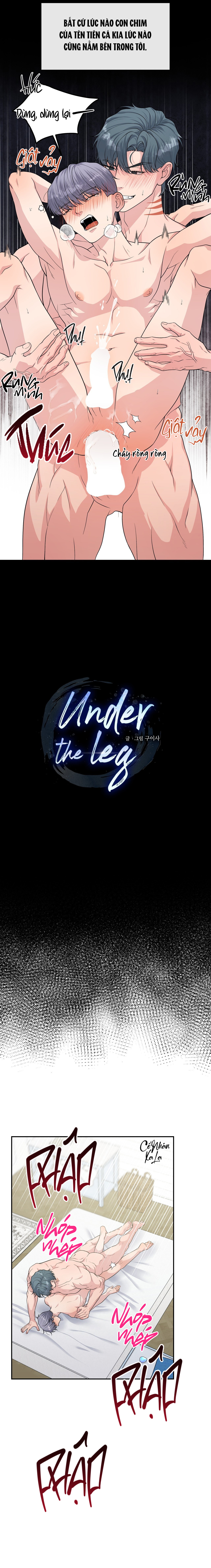 under-the-leg-chap-7-1