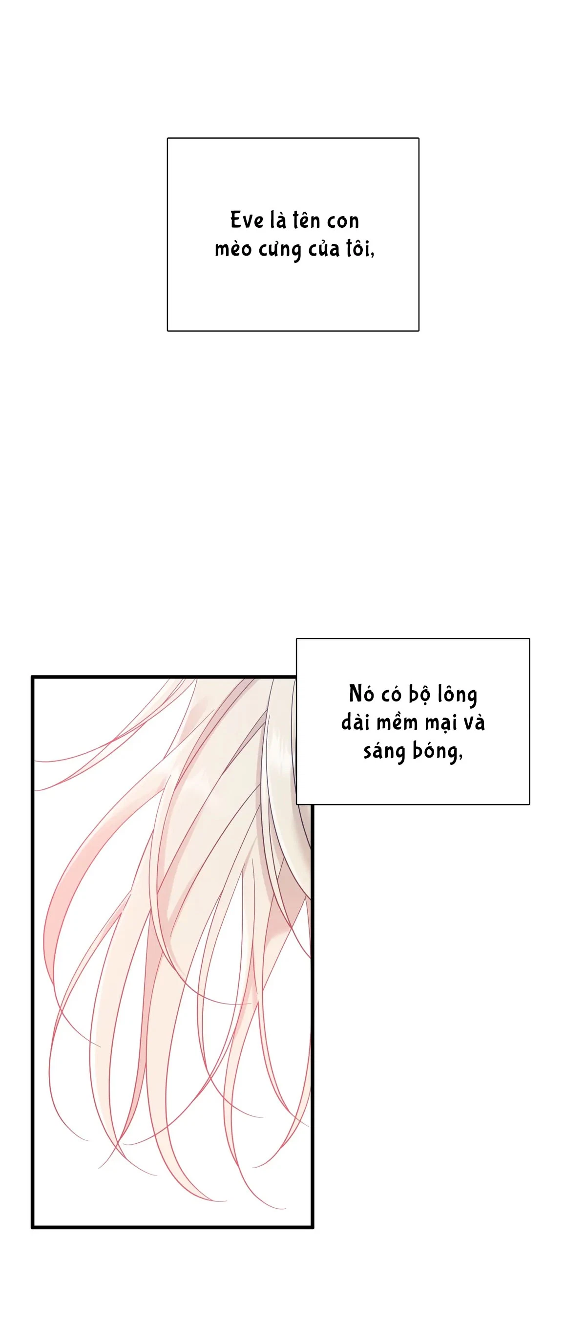 dear-00-chap-3-20