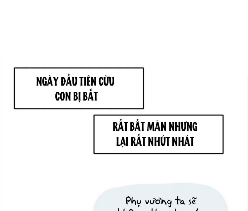 dua-vao-ban-than-tu-nho-toi-tro-thanh-dinh-cap-huong-dao-chap-15-1