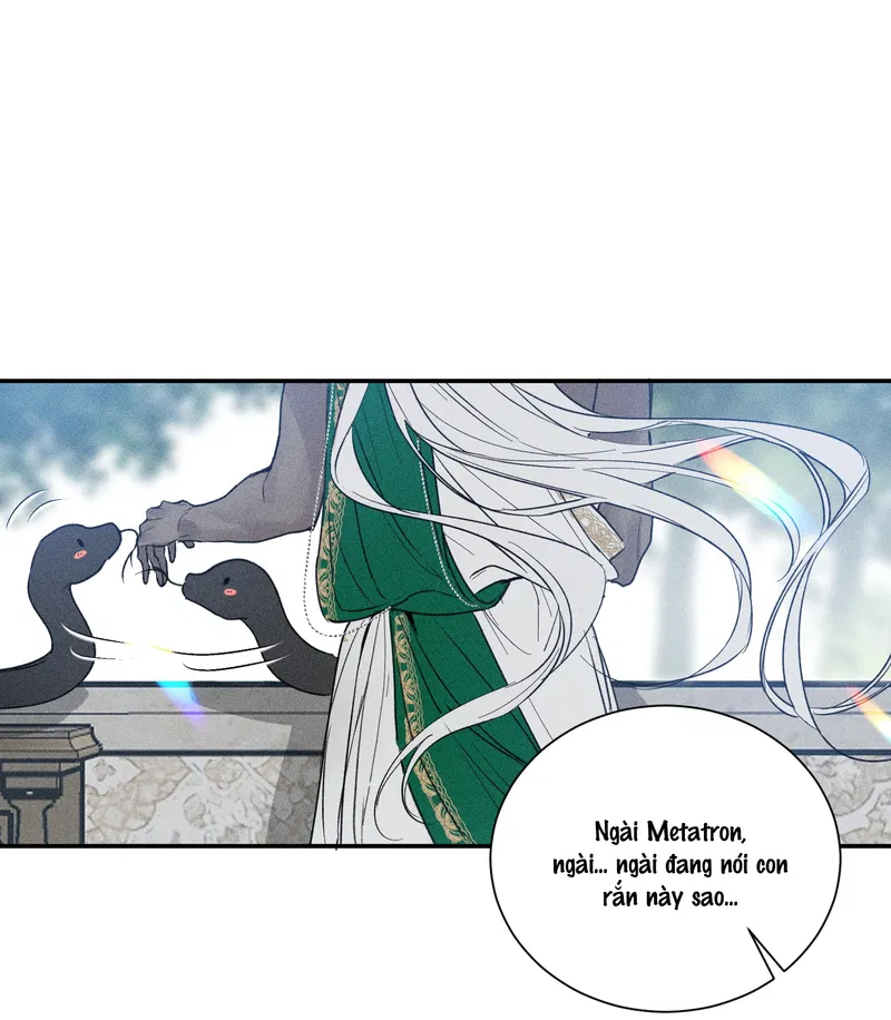 bat-quy-tac-chap-41-2