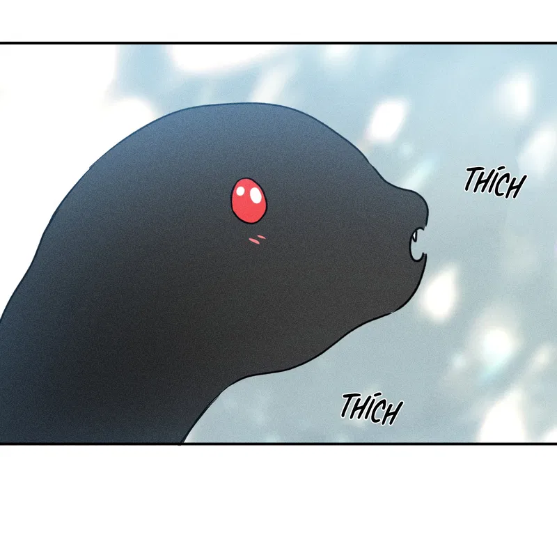 bat-quy-tac-chap-41-3