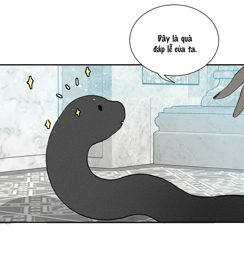 bat-quy-tac-chap-41-16