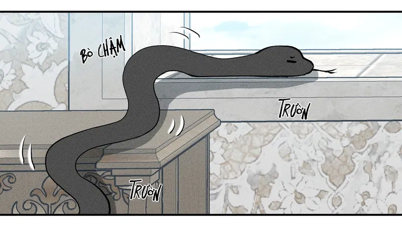 bat-quy-tac-chap-41-19