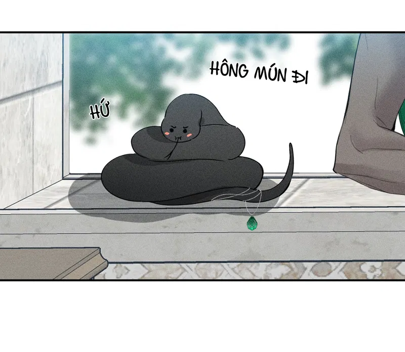 bat-quy-tac-chap-41-20
