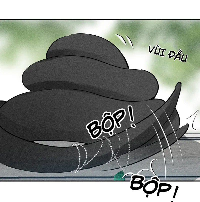 bat-quy-tac-chap-41-22