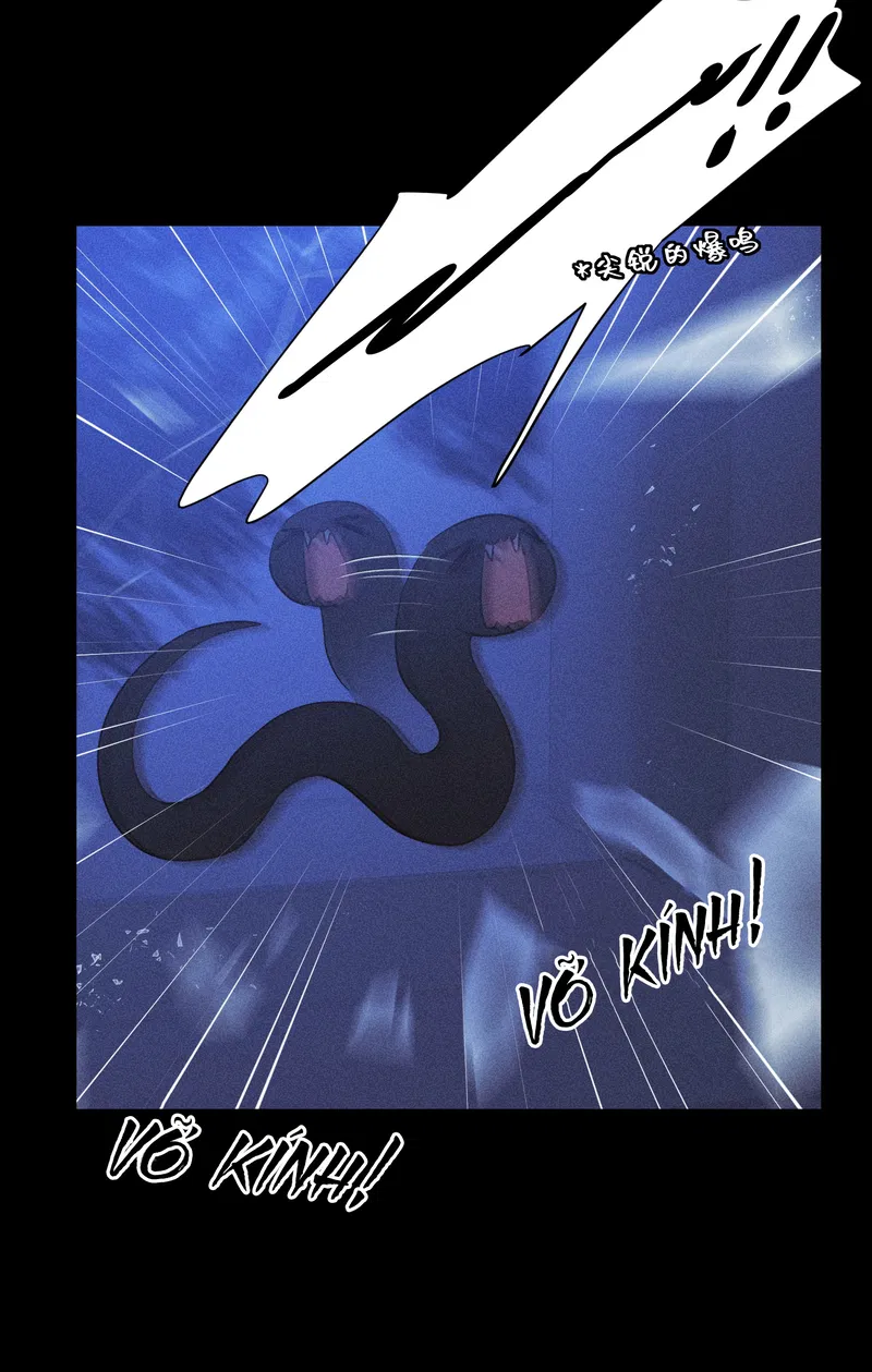 bat-quy-tac-chap-45-7