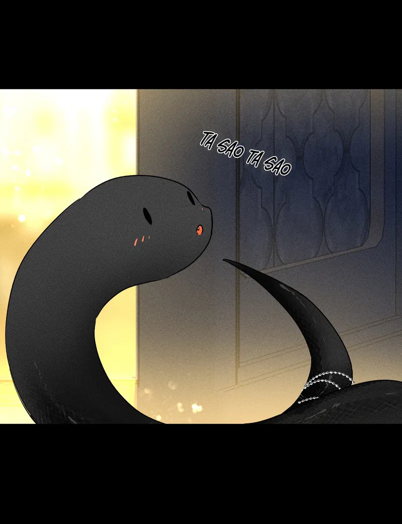 bat-quy-tac-chap-45-15