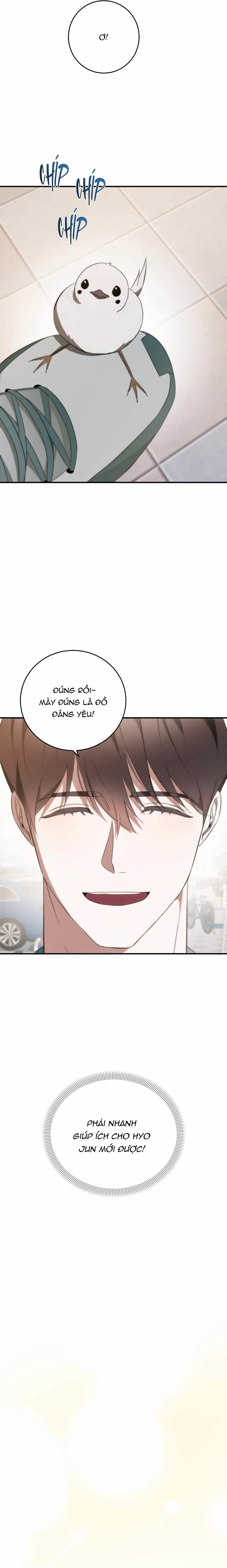 Tình Bí Mật Chapter 4 - Next Chapter 5 H