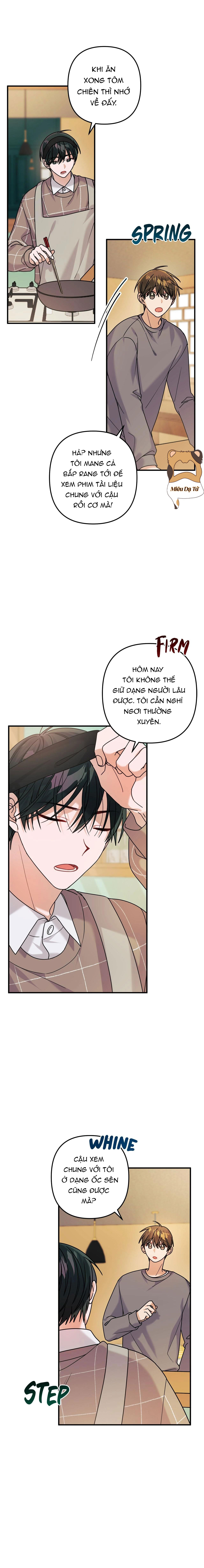 Tôm chiên thần chưởng Chapter 14 - Next 