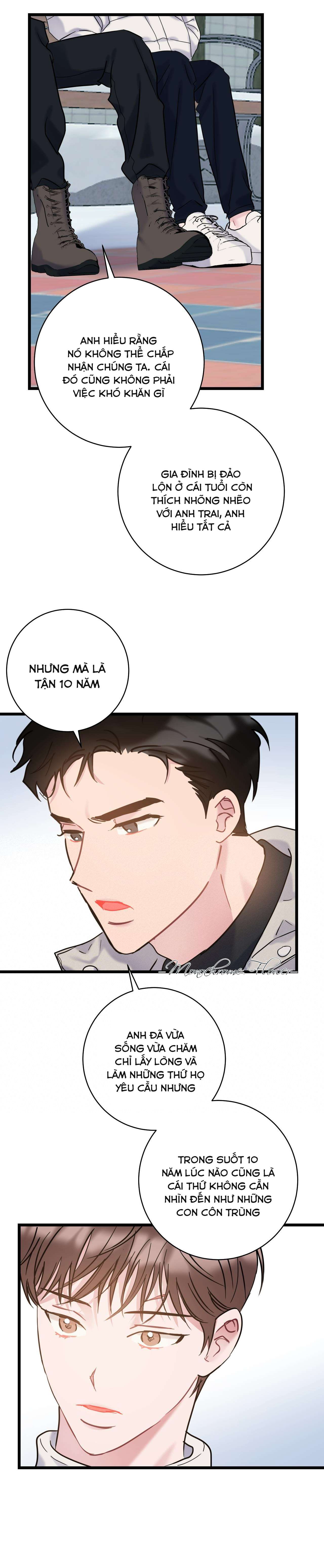 Ngọt ngào điên dại Chapter 26 - Next Chapter 27