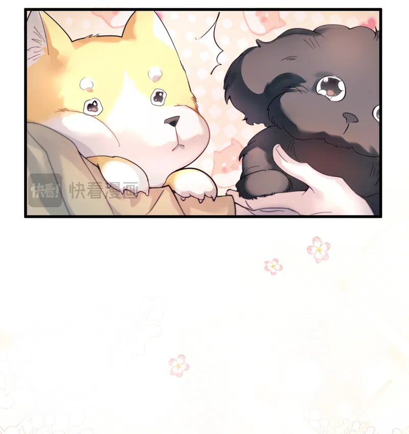 tinh-ve-dien-hai-chap-41-16