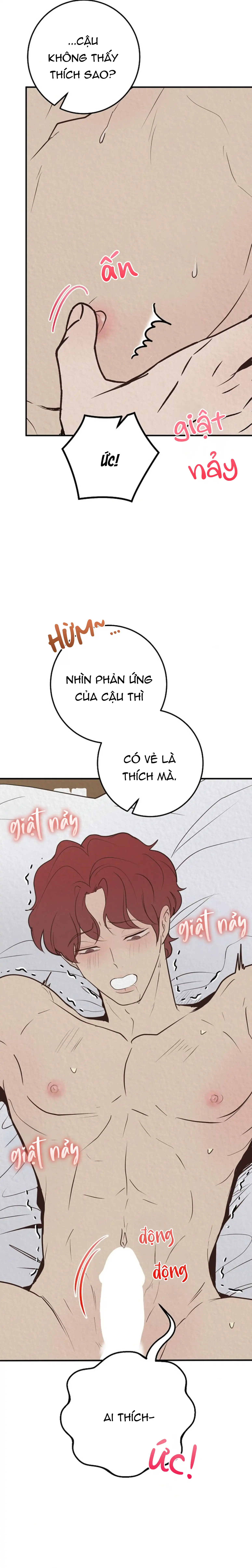 Đội Phát Triển Chapter 3 H++ - Next Chapter 4 H+