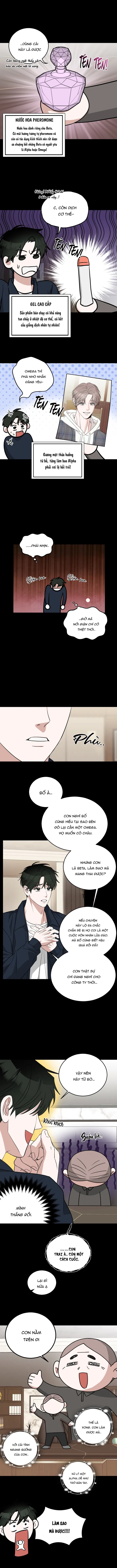 Tôi không phải Beta đâu nhé!? Chapter 1 H+ - Trang 2