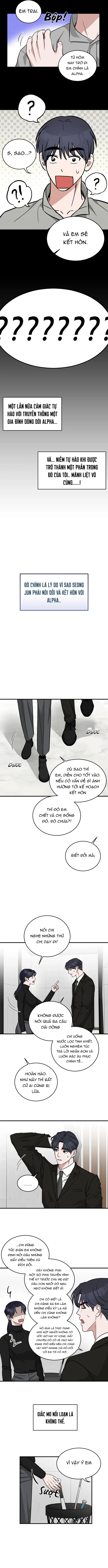 Tôi không phải Beta đâu nhé!? Chapter 2 H+ - Trang 2