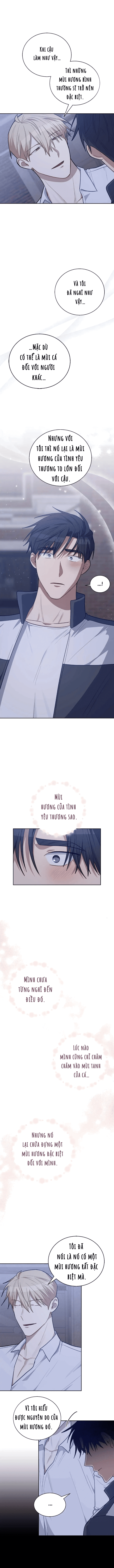 boi-trong-mui-huong-chap-26-6