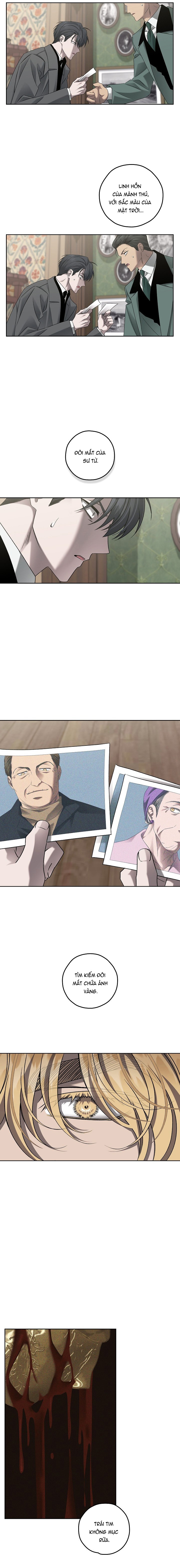 an-mang-kinh-hoang-duong-sunset-so-19-chap-33-9