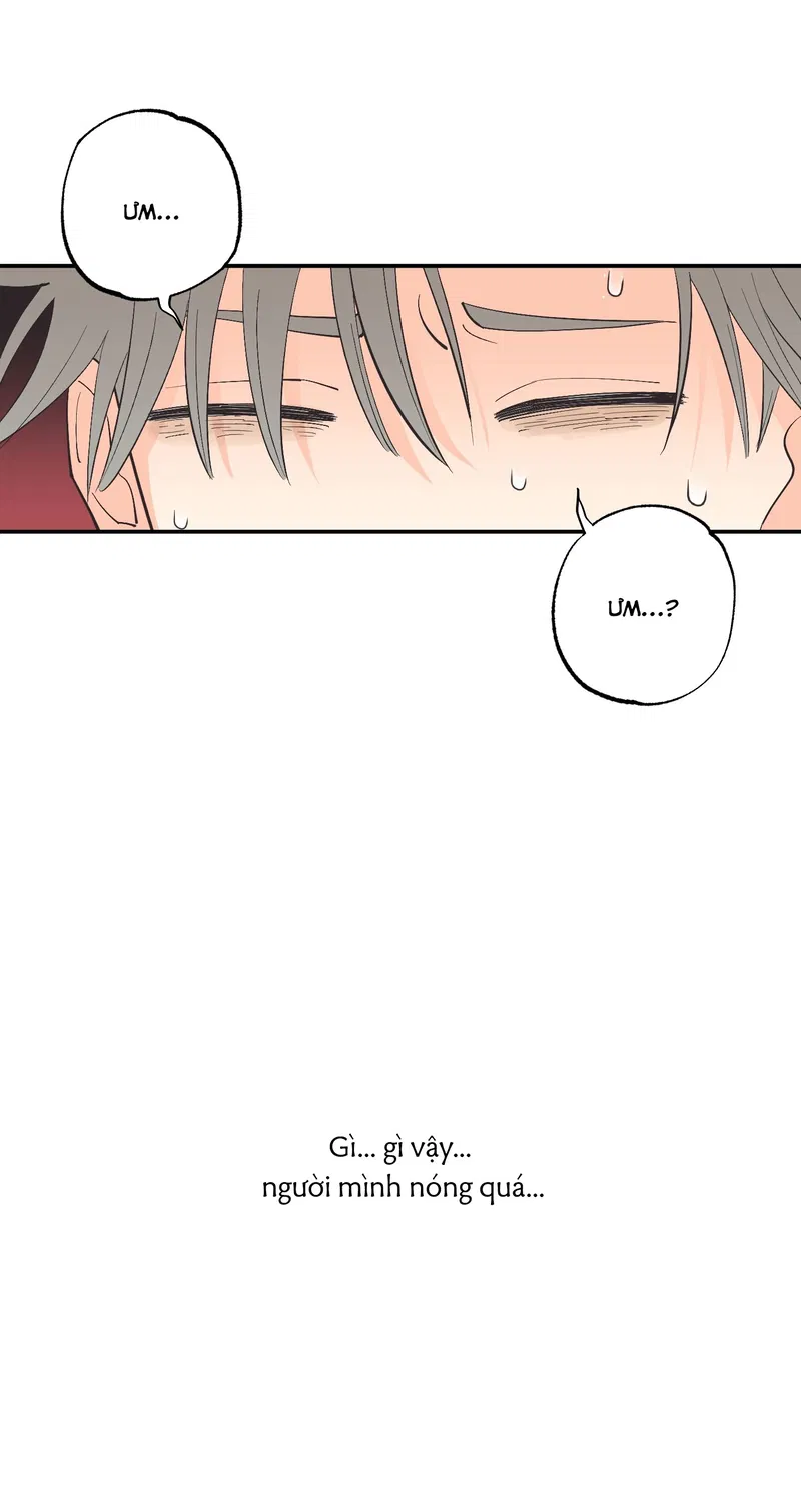 nguoi-rung-cung-muon-duoc-yeu-chap-5-2