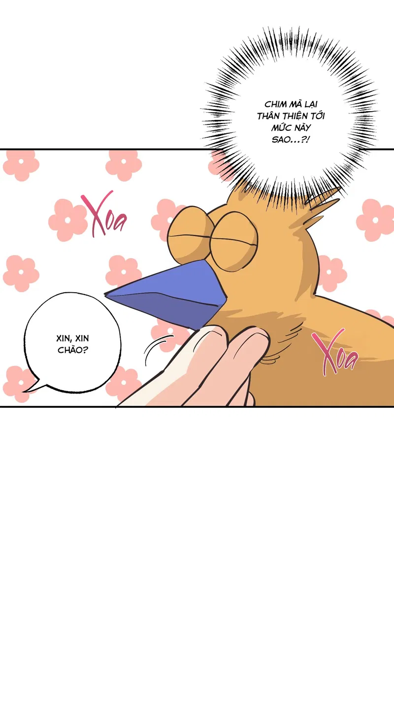 nguoi-rung-cung-muon-duoc-yeu-chap-9-29