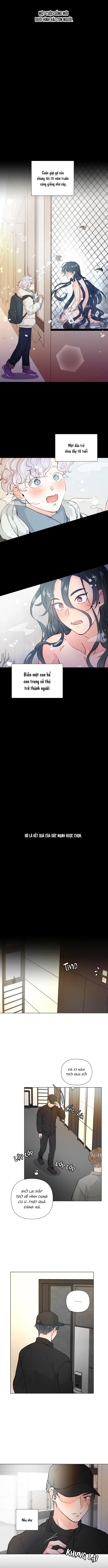 chiec-banh-sinh-nhat-cua-ho-chap-1-4