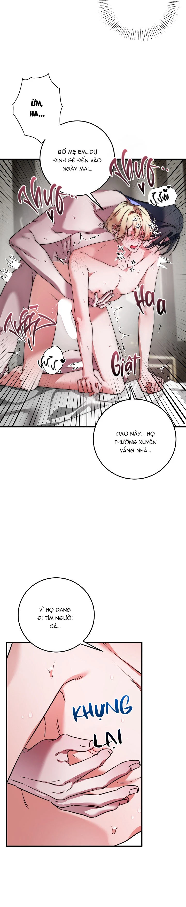 nhat-ky-cua-cong-tu-nguoi-ca-chap-2-18