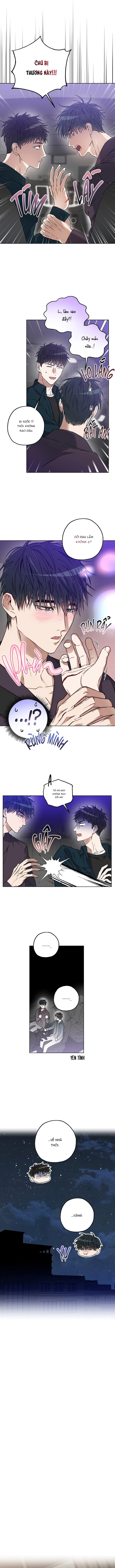 diet-giong-chap-3-8