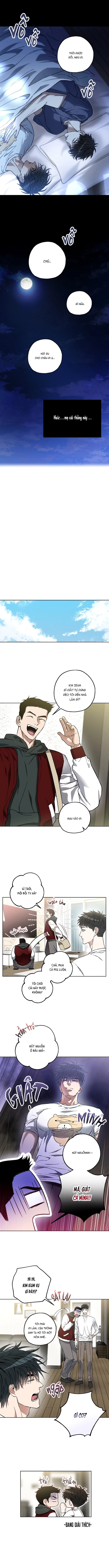 diet-giong-chap-4-6