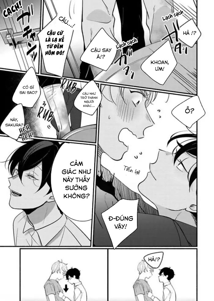 siro-cuc-doc-chap-2-20