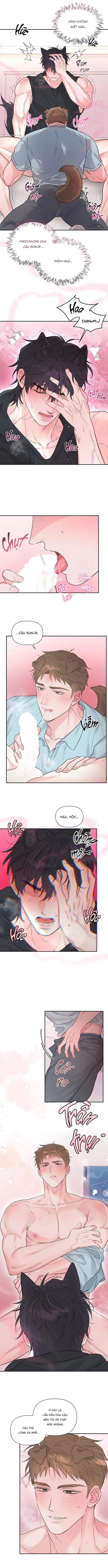 cai-ta-quy-chinh-chap-3-7