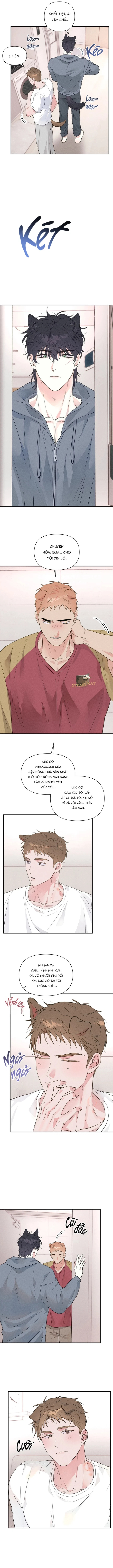 cai-ta-quy-chinh-chap-5-6