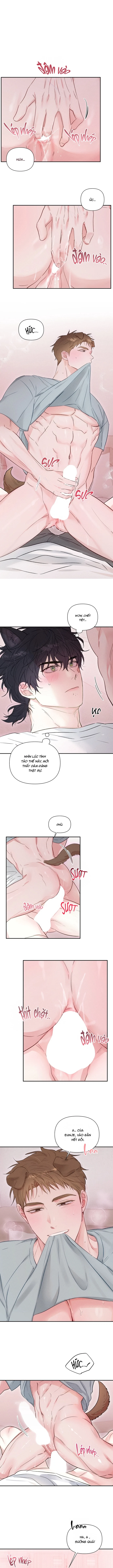 cai-ta-quy-chinh-chap-6-4