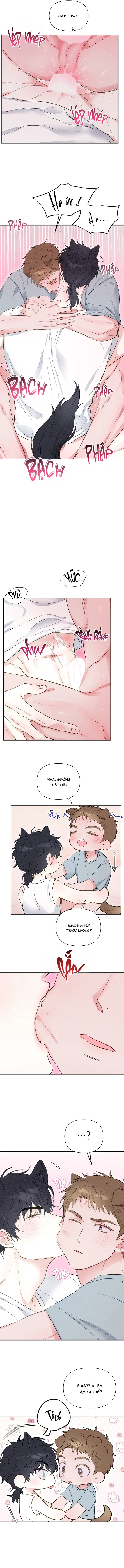 cai-ta-quy-chinh-chap-6-7
