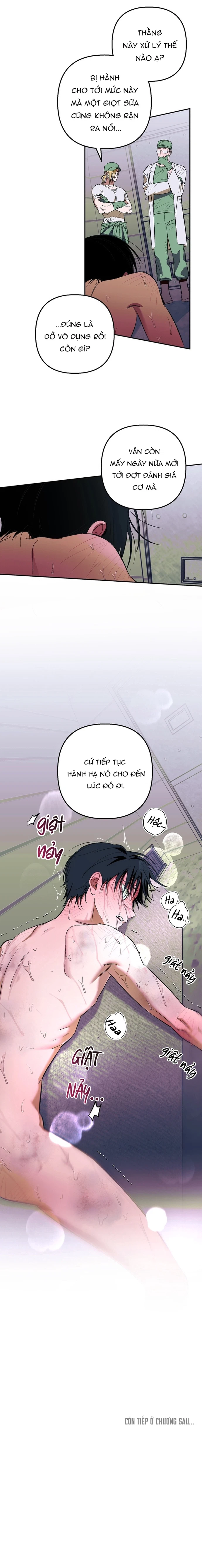 khai-bao-gia-suc-nguoi-chap-2-8