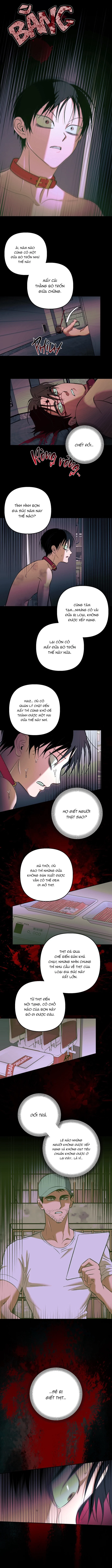 khai-bao-gia-suc-nguoi-chap-3-6