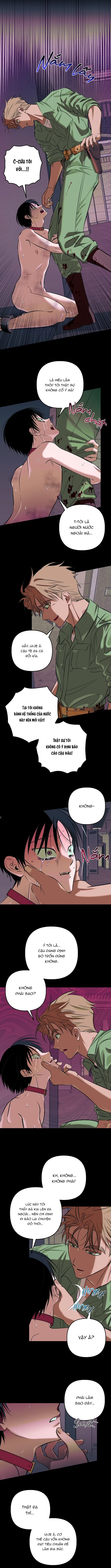 khai-bao-gia-suc-nguoi-chap-4-2
